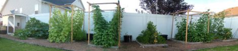 The Freedom Garden Image